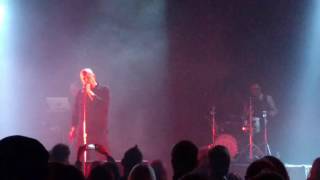 ASSEMBLAGE 23 - Complacent