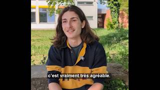 Brigitte Sauzay-Programm 2026 am OHG Springe
