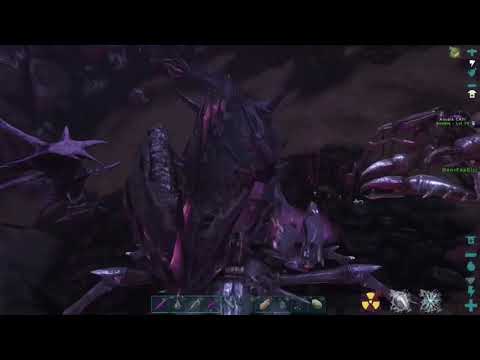 reaper queen got Turbo Cati pregnant