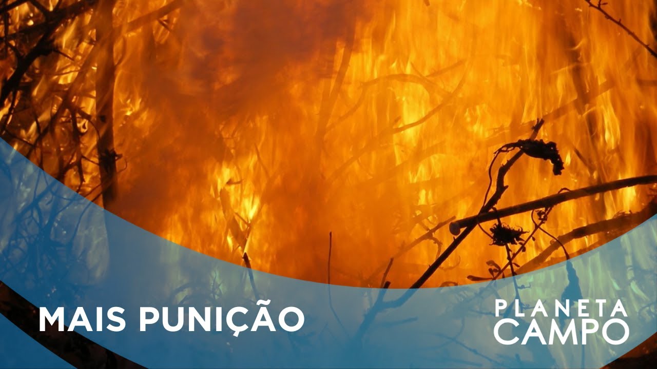 Novo decreto de combate a incêndios florestais aumenta penalidades para os produtores rurais
