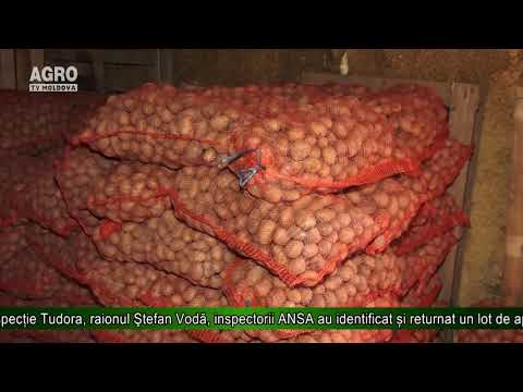 , title : 'AGRO TV News – ANSA intensifică controalele la importul de cartofi'