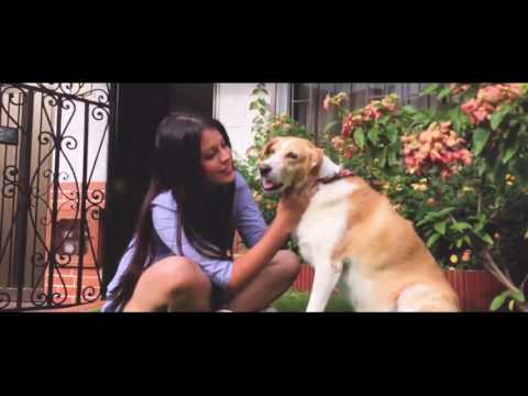 My Au Pair Video - Maria Camila Hincapie Sepulveda - COL10623343 - Cultural Care-Colombia