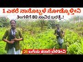 ತಿಂಗಳಿಗೆ 80 ಸಾವಿರ ಬರತ್ತೆ l Raised bed farming in Karnataka Organic Agriculture Kan