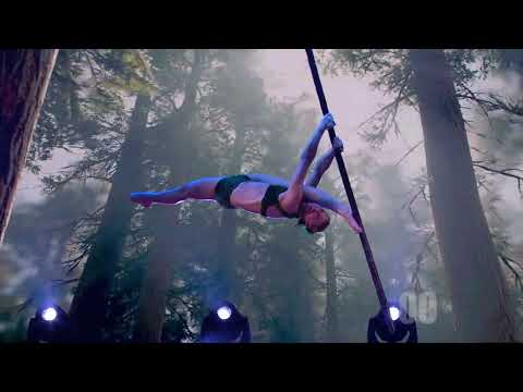VIPERA - Pole dance pasirodymai ir oro akrobatika #2