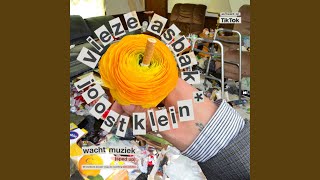 Cover art for Wachtmuziek