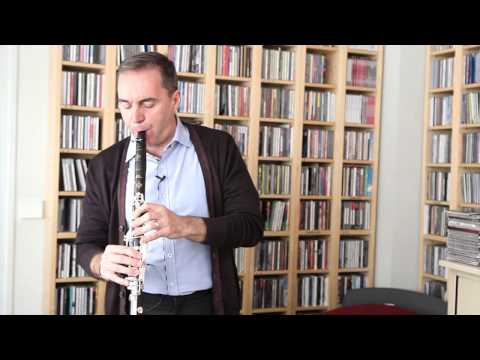 Fabrizio Meloni - IT