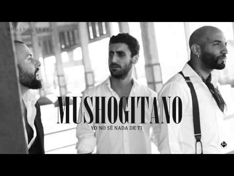 Mushogitano - Yo no sé nada de ti (Single Oficial)