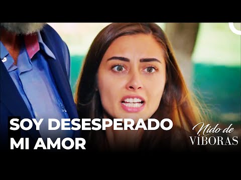 No Evites El Poder Del Amor - Nido De Víboras