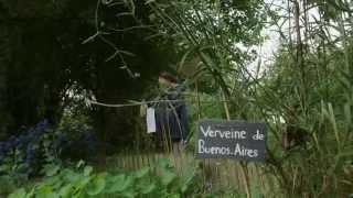 preview picture of video 'jardin de Bretagne : Le Chemin des Ajoncs'