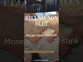 Money Has No Smell   Pecunia Non Olet #learnlatin #motivation #trending #ad #success #justice
