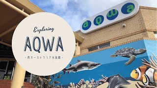 【VLOG】Explore AQWA ~西オーストラリア 水族館へ行ってみた~