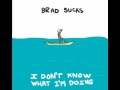 Brad Sucks - Fixing My Brain (I Don't Know What I'm Doing) [Lyrics]