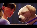 Andy A Dog S Tale