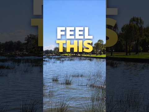 Can You Feel This? 🌊 #shorts