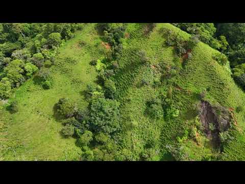 img-video