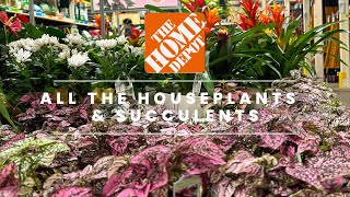 I Went to the Best Home Depot for Plants
