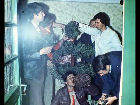 Marienfeld - History of Teremia Mare - Episode 5