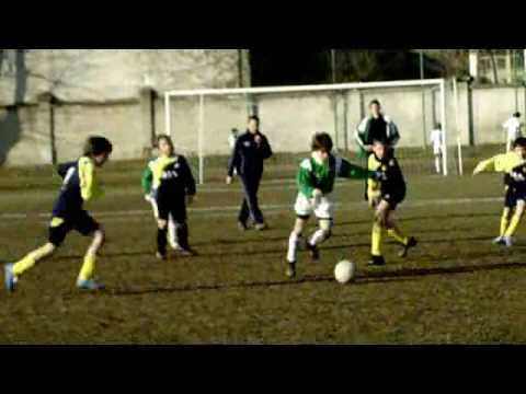 Pulcini 2000 - DiPo - ViBe