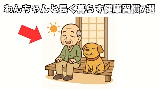 わんちゃんと長く暮らす健康習慣7選