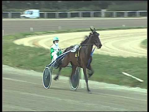 Trotto 19/01/2016 - 1° corsa