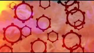 DISC SYSTEM meets INNER SCIENCE/can't keep still four (edit)