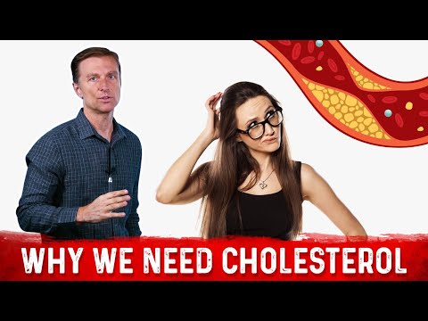 The Real Purpose of Cholesterol – Dr Berg on Cholesterol levels Part 1