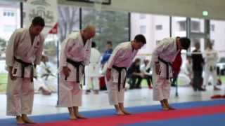 preview picture of video 'Shotokan Karate SM Visp 2014'