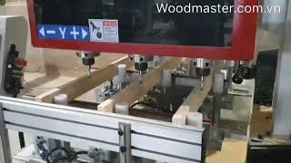 Máy đục mộng Cnc - máy tạo mộng Cnc 3 đầu Woodmaster