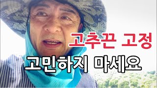 고추끈 고정의 최고봉 이것보다 좋은것은 없다