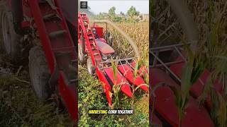 Modern Corn Harvester in Action | Smart Farming Technology#viralvideo #trending #shorts #foryou
