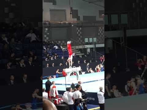 Ivan Stretovich (Russia) PH QF 2019 European Championships