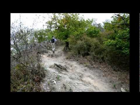 Der Rheinsteig von St. Goarshausen über die Loreley nach Kaub  Merbitz-Zahradnik