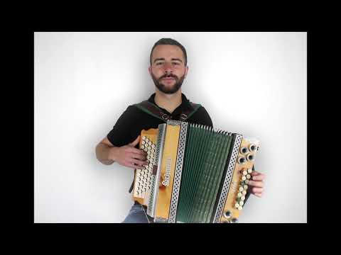 Aber dich gibts nur einmal für mich - Nilsen Brothers [Steirische Harmonika]]