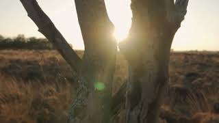 Provrbios 2 a Excelncia da Sabedoria