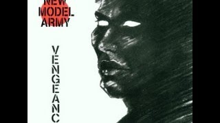 NEW MODEL ARMY VENGEANCE VINIL