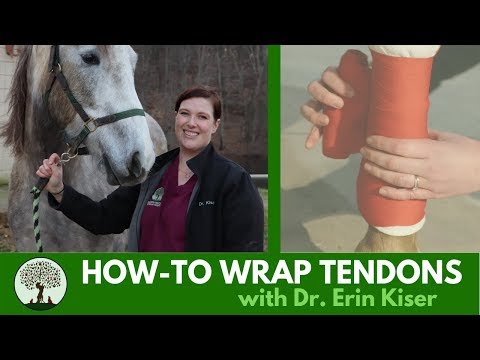 YouTube video about: How to wrap a horse's leg with vet wrap?