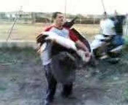 modica alza  scooter