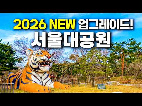 서울대공원 완벽 가이드: 리프트와 꿀팁으로 효율적인 하루 보내기