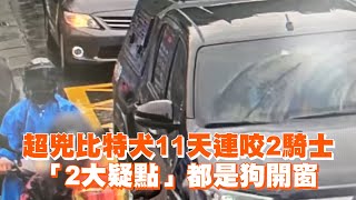 [問卦] 比特犬會不會受到飼主指使才去咬人?