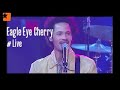 Eagle Eye Cherry -Are You Still Having Fun?- Live Bercy FRANCE