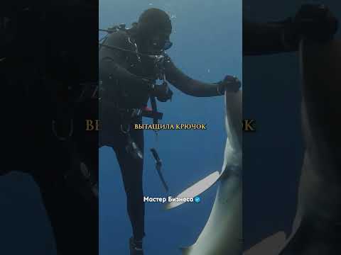 Гармония между человеком и природой. Кристина Зенато.