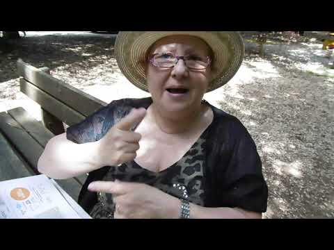 DEAF AUSRU  11.06.2019 - LOGIKUS (magyar nyelven)