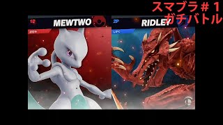 【スマッシュブラザーズ】相方とのガチバトル：第一回目