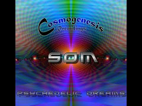 08 Psycoholic feat. Annkvin - Sonic Anomaly (SOM Remix)
