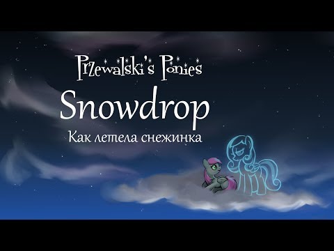 Przewalski's Ponies - Snowdrop (Как летела снежинка)