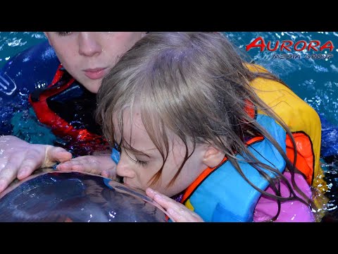 Delfinarium Oskar w Truskawcu