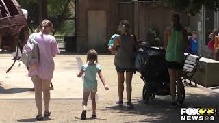 Hattiesburg Zoo delays giraffe exhibit due to pandemic