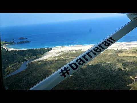 SPEARFISHING ADVENTURE to REMOTE Great Barrier Island New Zealand-Living from the Ocean