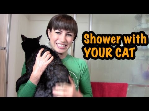 How to Shower with Your Cat