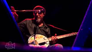 Harry Manx - Voodoo Child (Live in Sydney) | Moshcam
